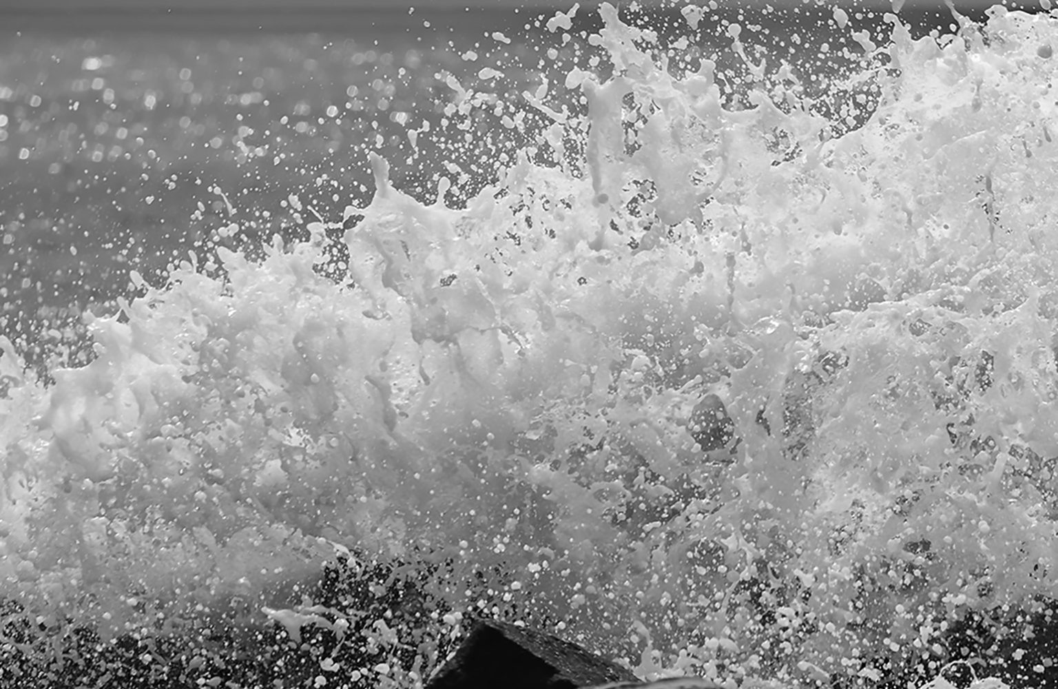 maximoruizphotography